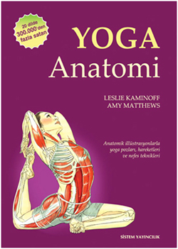 yoga anatomi