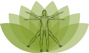 bütüncül sağlık