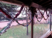 10620569_10153047116205815_4187494960301671274_n